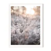 Morning Magic Framed Printed Wall Art - White