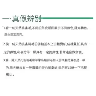 🔥全款出廠價🔥 孔雀羽毛 羽毛 孔雀毛 捕夢網 逗貓棒  DIY佈置 純天然孔雀毛 花瓶插花 孔雀毛 招財納福 客廳裝飾