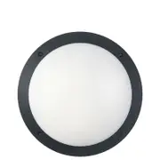 CLA Lighting Bulk Round LED Bulkhead Light IP66 IK10 Black