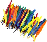 120 Pcs Colorful Goose Feathers Natural Feathers for DIY Crafts Assorted Sizes 6