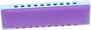 BESPORTBLE 1Set Harmonica with Storage Case Tones Diatonic Blues Harmonica for Beginners Portable Musical Instrument for Adorable Design