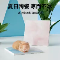 在飛比找蝦皮購物優惠-【寵愛😺寵物】倉鼠降溫散熱墊 倉鼠降溫板 倉鼠陶瓷散熱板大理