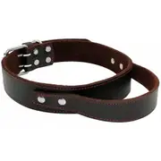 Durable Heavy Duty Leather Control Collar for Medium, Large Dogs