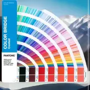 New PANTONE GG6103A Coated Color Bridge Guide HTML RGB CMYK SOLID Book