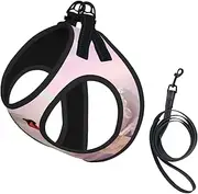 swan heart print Dog Harness and Leash Set, Reflective Adjustable Puppy Vest for Small Medium Large Dogs, Cats