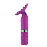 JRL Brush 10 Modes Clitoral Stimulator Vibrator