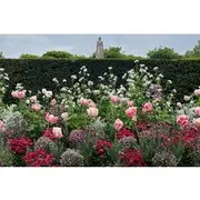 Save 20.00%! Hidden Paris Thinkers Stories and Courtyards