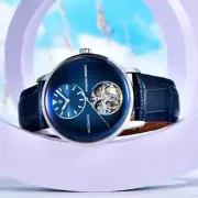 42MM PAGANI DESIGN 1796 Automatic Tourbillon Men's Watch Leather Waterproof NEW