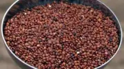 2 LBS PURE PREMIUM Red Quinoa ,VEGAN,GLUTEN-FREE,nonGMO
