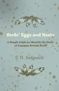 在飛比找博客來優惠-Birds’’ Eggs and Nests - A Sim