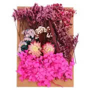 Pressed Flowers Bulk Dried Flowers Natural Pressed Flowers Leaves Rose Red