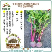 在飛比找Yahoo奇摩購物中心優惠-【綠藝家】大包裝C19.福康甜菜根種子55克(約4000顆)