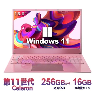 15.6-inch, high-performance memory 16GB, SSD 256GB ~ Intel Celeron 5095A, 10-key