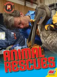 在飛比找博客來優惠-Animal Rescues