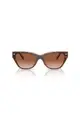 Coach Women's Cat Eye Frame Brown Acetate Sunglasses - HC8370U