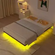 Floating Bed Frame with LED Lights, Metal Platform Bed Frame with Heavy Duty Ste