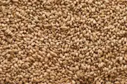 Briess White Wheat Malt 10 lb for Home Brew Beer Making