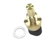 For Chevrolet Express 1500 Water Temperature Sensor 98196XDRN (for: Chevrolet)