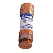 (Pack of 2) Mersen TR2/10R, TR-2/10, TR-2/10R TR 0.2A Fuse