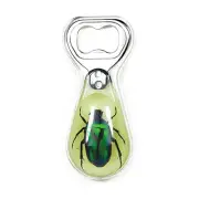 Green Rose Chafer Bottle Opener