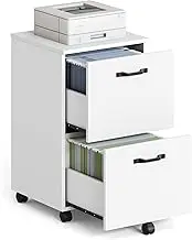 VASAGLE 2-Drawer File Cabinet, Filing Cabinet for Home Office, Small Rolling File Cabinet, Printer Stand, for A4, Letter-Size Files, Hanging File Folders, Industrial, White UOFC040W46