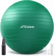 Exercise Ball for Physical Therapy, Swiss Ball Physio Ball for Rehab Exercises,