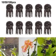 10/50/100 Pcs Plant Fix Clips Orchid Stem Vine Support Flowers Tied Branch