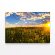 Grass with the Sun Setting Print 100% Australian Made 150 x 100cm (Stretched)