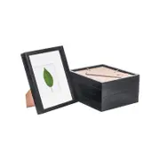 Nicola Spring 8" x 10" Black 3D Box Photo Frames - 4" x 6" Mount - Pack of 5