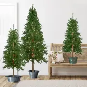 Northlight 3 Alpine Artificial Christmas Trees 4ft, 5ft 6ft - Clear Lights