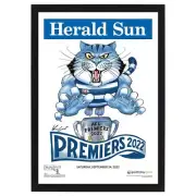 GEELONG CATS 2022 PREMIERS WEG FRAMED AFL MEMORABILIA PRINT SELWOOD DANGERFIELD