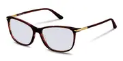 Rodenstock R5335 B Men's Glasses Red Size 57 - Private Health Rebate - Blue Light Block Available