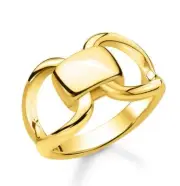 THOMAS SABO Damen Ring Glam & Soul Sterling silber 925 vergoldet Gr 48 NEU