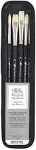 Winsor & Newton Artists Hog Oil Brush (Pack of 5),Black,Large