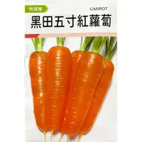 在飛比找蝦皮購物優惠-現貨）黑田五寸胡蘿蔔種子｜紅蘿蔔種子｜胡蘿蔔｜專業種植｜專業