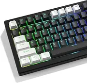 GMKWTL XVX Black and White Keycaps, Shine Through PBT Keycaps Cherry Profile, Custom Key caps Doubleshot 124 Keys Set, Universal Compatiability for 60%, 65%, 75%, 100% Keyboard