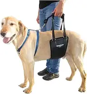 GingerLead Dog Support & Rehabilitation Harness Medium/Large Dog Sling with Stay on Straps; Helps Older, Disabled or Injured Dogs Walk. Fits Medium Male and Female Dogs and Large Male Dogs