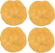 Hohopeti 4pcs Student Teaching Table Adornment Sample Nummulites Decoration Teaching Tool Model Decor Desktop Ornament Simulation Model Specimen Orange