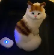 Portable UV Light Germicidal Lamp For Cat Litter Box UV Sterilizer Disinfection