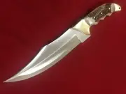 RaB Handmade Full Tang In D2 Steel Razorback Rigid Style Knife With Stag Handle