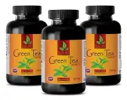 Green Tea Extract 300mg. Most Powerful Antioxidant. Immune Support (3 Bottles)
