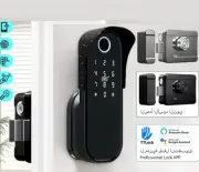 Waterproof Electric Rim Lock Fingerprint Garden Lock Remote Control Code Keyless
