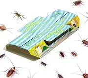Cockroach Trap Sticky with Bait Non-Toxic and ECO-Friendly - 12 Pack