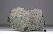 NWA 16652 - 285,8g - HED Eucrite polymict - Meteorite