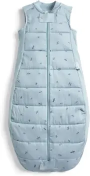 Ergopouch Premium Sleeping Bag 2.5 TOG – 8–24 Months – Dragonflies Print – a ...