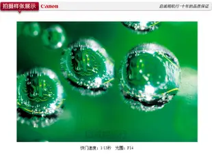 〖柒字優選〗佳能 Canon MP-E 65mm f2.8 1-5X 微距攝影鏡頭 全新正品港行