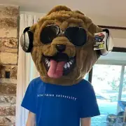 NWT ~ BULLDOG BEAT DJ ~ PLUSH FULL HEAD FOAM MASK with SUNGLASSES & HEADPHONES