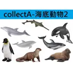 【玩具兄妹】現貨<開發票>COLLECTA專區 章魚/白鯨/海牛/赤蠵龜/水獺/海豚/企鵝/幼海象/鋸鯊