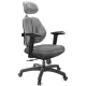 【GXG 吉加吉】高背涼感綿 雙背椅 2D滑面升降扶手(TW-2995 EA2J)