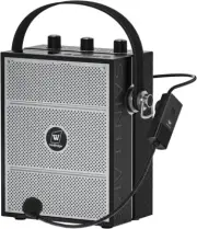 WinBridge Portable Pa Sytem with Wireless Microphone 40W, Bluetooth Speaker and
